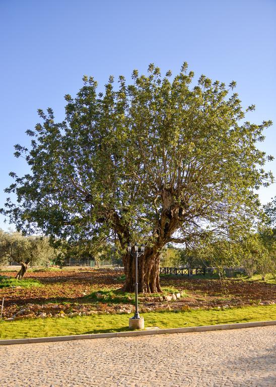 Quinta Dos Tesouros Villa São Brás de Alportel Eksteriør bilde