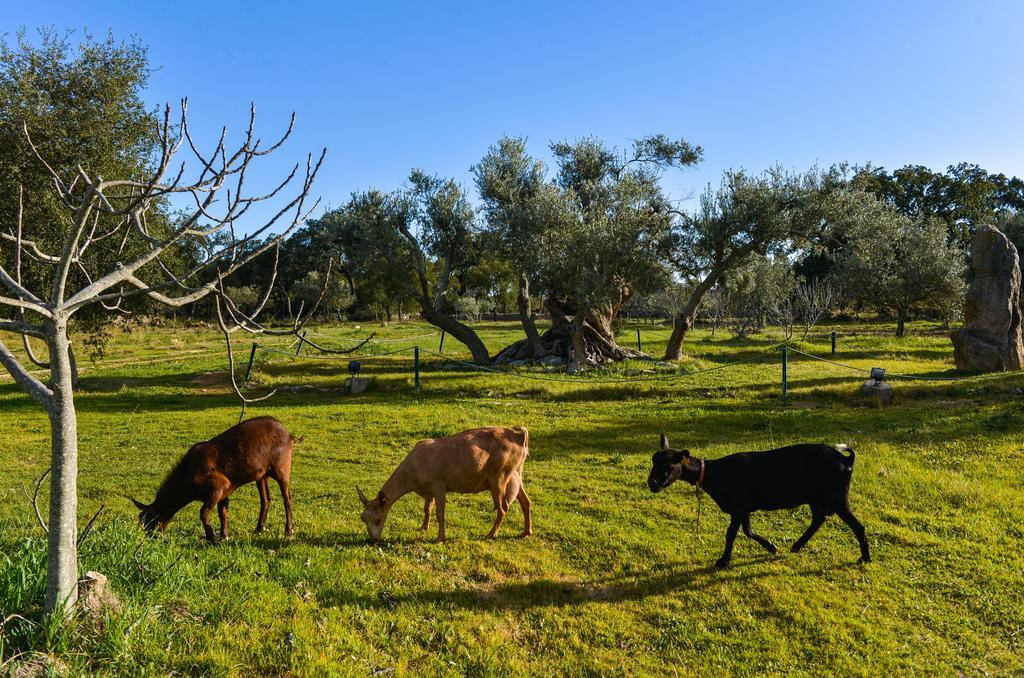 Quinta Dos Tesouros Villa São Brás de Alportel Eksteriør bilde